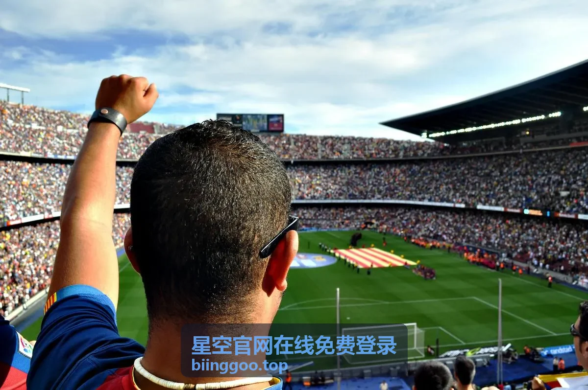 星空官网在线免费登录第一步：打开站内登录入口