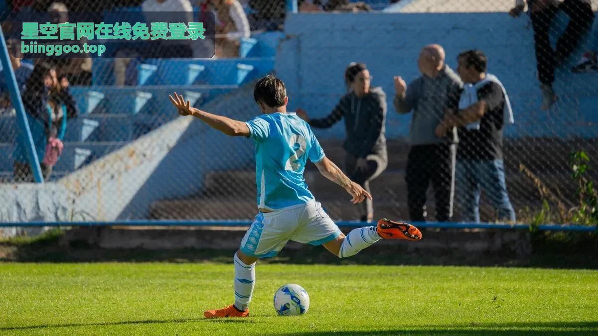 星空官网在线免费登录反馈通道使用入口画面