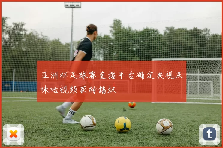 亚洲杯足球赛直播平台确定央视及咪咕视频获转播权