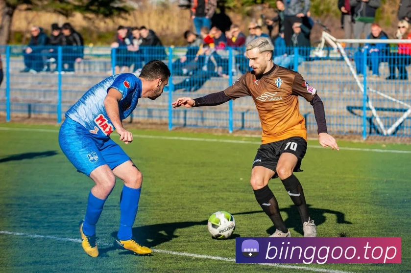 mksports官网登录平台生态图